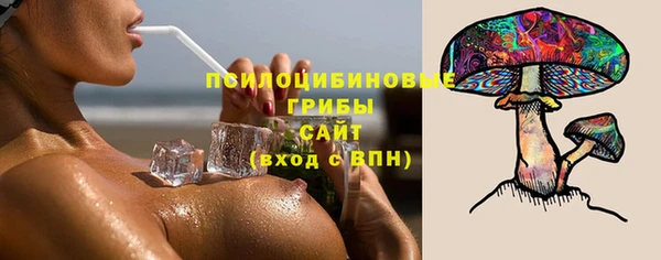 стафф Верхний Тагил