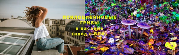 СК Медногорск