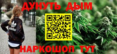 гидра Гагарин