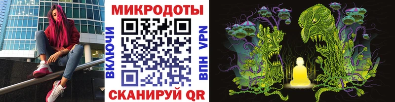 Псилоцибиновые грибы прущие грибы  Саки 