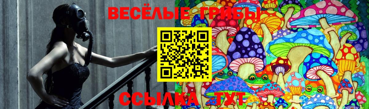 Саки  Галлюциногенные грибы Cubensis  Галлюциногенные грибы ЛСД  Вход с VPN 